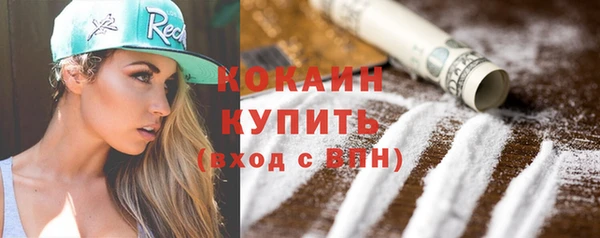винт Инсар