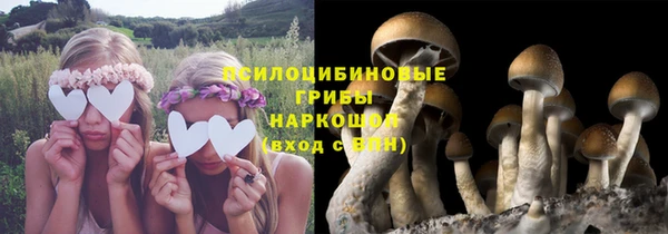 прущий лед Инта