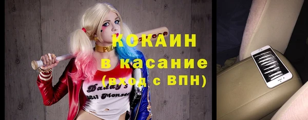 винт Инсар
