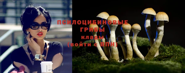 прущий лед Инта