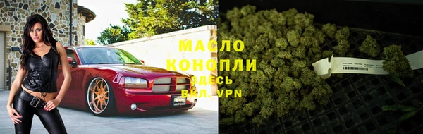 прущий лед Инта