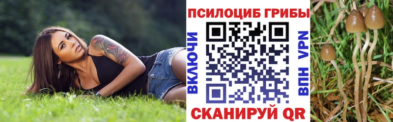 Купить Звенигород Псилоцибиновые грибы Magic Shrooms